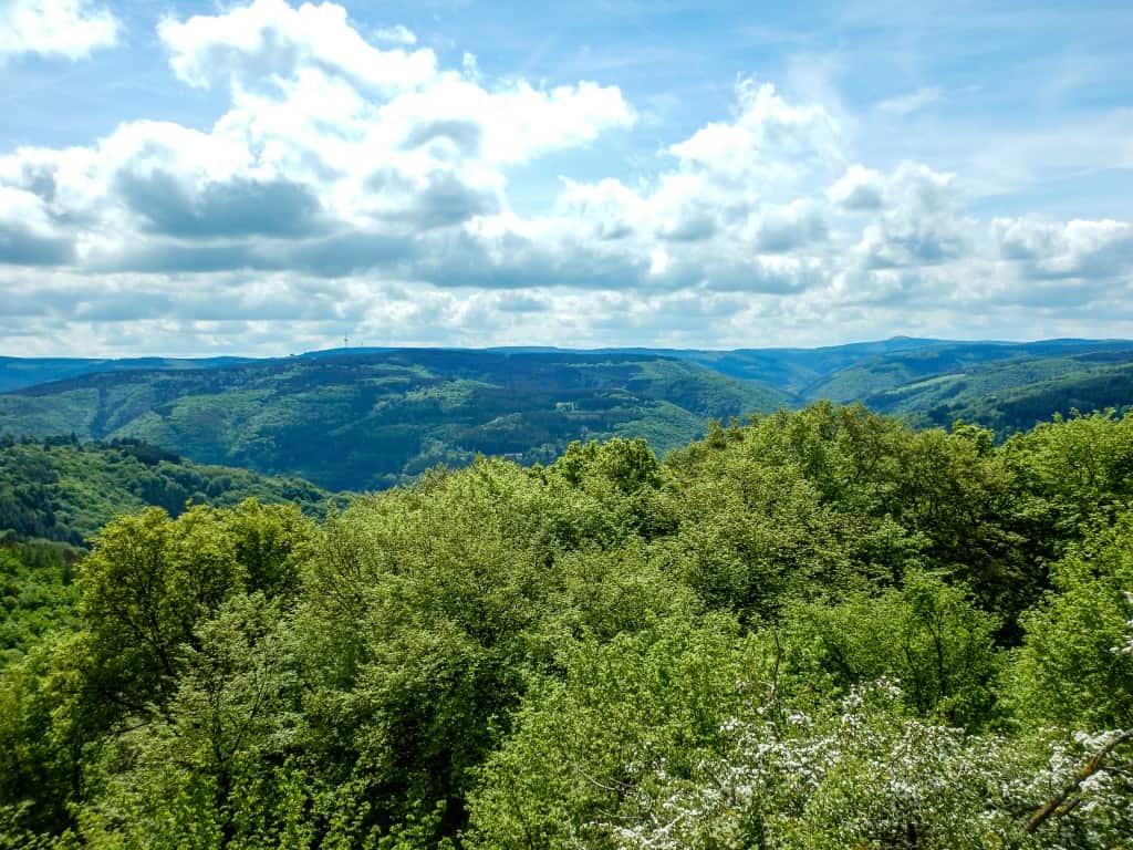 Blick vom Steinerberg